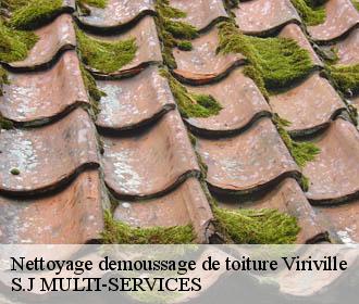 Nettoyage demoussage de toiture  viriville-38980 Artisan Spade