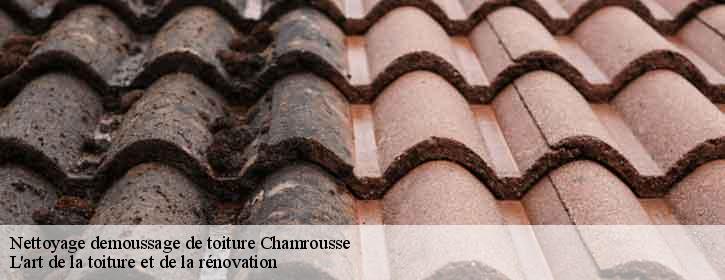 Nettoyage demoussage de toiture  38410