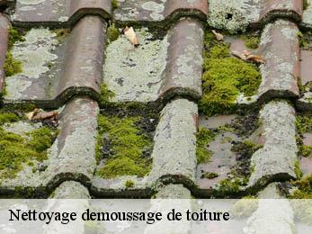 Nettoyage demoussage de toiture