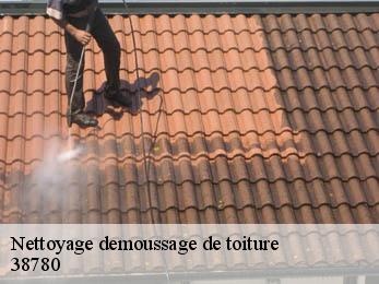 Nettoyage demoussage de toiture 38780