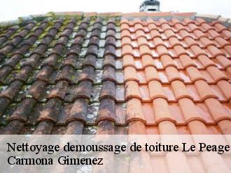 Nettoyage demoussage de toiture le-peage-38780 Couvreur Payen