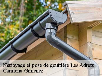 Nettoyage et pose de gouttière  38190