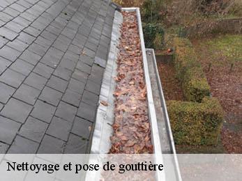 Nettoyage et pose de gouttière