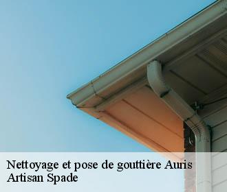 Nettoyage et pose de gouttière auris-38142 Artisan Spade