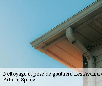 Nettoyage et pose de gouttière les-avenieres-38630 Artisan Spade
