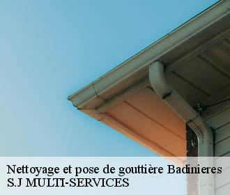 Nettoyage et pose de gouttière badinieres-38300 S.J MULTI-SERVICES