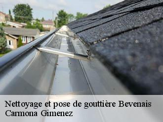 Nettoyage et pose de gouttière  bevenais-38690 Couvreur Payen