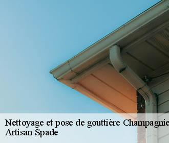 Nettoyage et pose de gouttière champagnier-38800 Artisan Spade