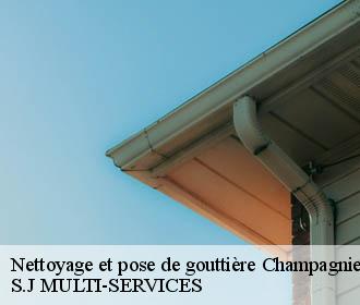Nettoyage et pose de gouttière champagnier-38800 S.J MULTI-SERVICES