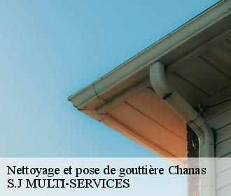 Nettoyage et pose de gouttière chanas-38150 S.J MULTI-SERVICES
