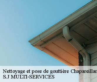 Nettoyage et pose de gouttière chapareillan-38530 S.J MULTI-SERVICES