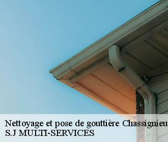 Nettoyage et pose de gouttière chassignieu-38730 S.J MULTI-SERVICES