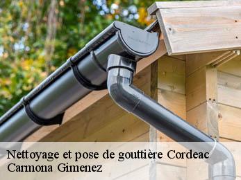 Nettoyage et pose de gouttière 38710