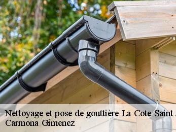 Nettoyage et pose de gouttière  38260