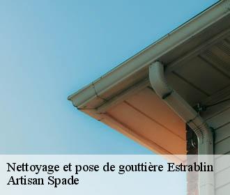 Nettoyage et pose de gouttière estrablin-38780 Artisan Spade
