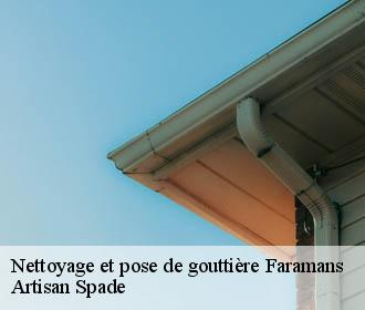 Nettoyage et pose de gouttière faramans-38260 Artisan Spade