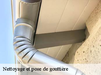 Nettoyage et pose de gouttière