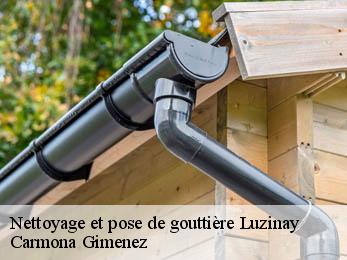 Nettoyage et pose de gouttière  38200