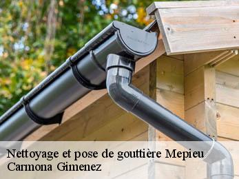 Nettoyage et pose de gouttière 38510