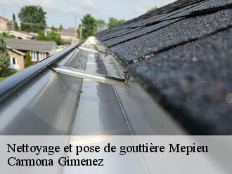 Nettoyage et pose de gouttière mepieu-38510 Couvreur Payen