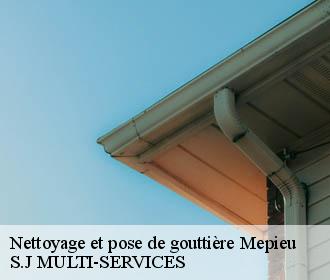 Nettoyage et pose de gouttière  mepieu-38510 S.J MULTI-SERVICES
