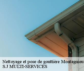 Nettoyage et pose de gouttière montagnieu-38110 S.J MULTI-SERVICES