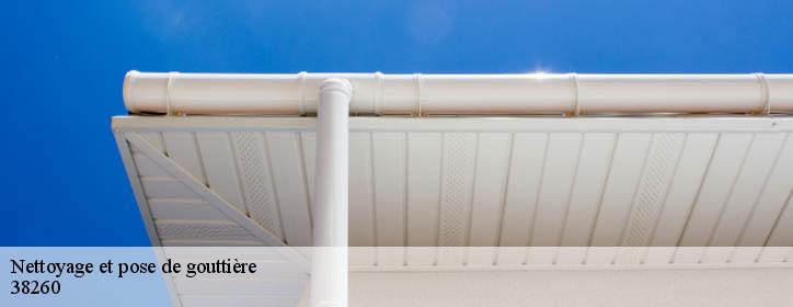 Nettoyage et pose de gouttière 38260