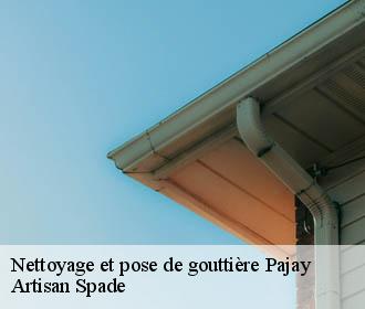 Nettoyage et pose de gouttière  pajay-38260 Artisan Spade