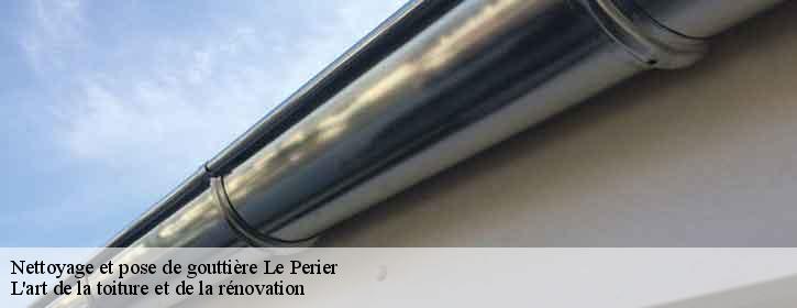 Nettoyage et pose de gouttière 38740