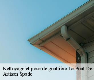 Nettoyage et pose de gouttière le-pont-de-beauvoisin-38480 Artisan Spade