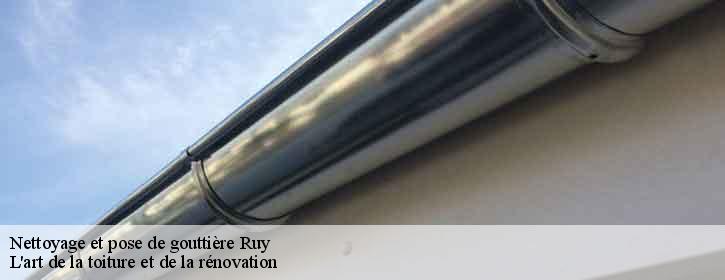 Nettoyage et pose de gouttière 38300