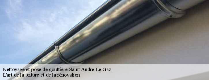 Nettoyage et pose de gouttière  38490