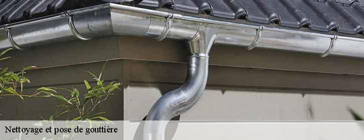 Nettoyage et pose de gouttière  38960