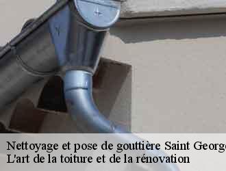 Nettoyage et pose de gouttière  saint-georges-d-esperanche-38790 L'art de la toiture et de la rénovation