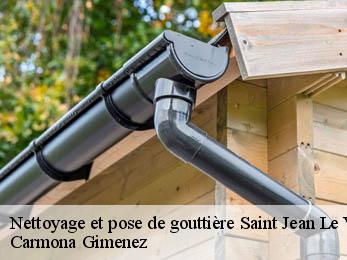 Nettoyage et pose de gouttière 38420