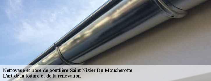 Nettoyage et pose de gouttière  38250