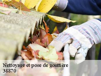 Nettoyage et pose de gouttière 38870