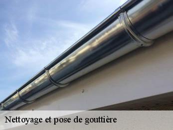 Nettoyage et pose de gouttière 38870