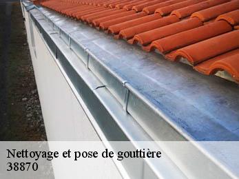 Nettoyage et pose de gouttière 38870