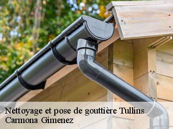 Nettoyage et pose de gouttière 38210