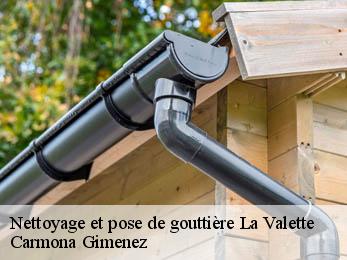 Nettoyage et pose de gouttière  38350