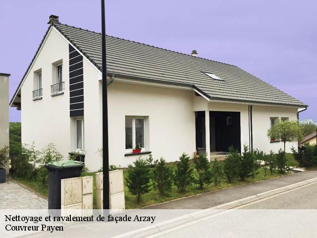 Nettoyage et ravalement de façade  arzay-38260 Couvreur Payen