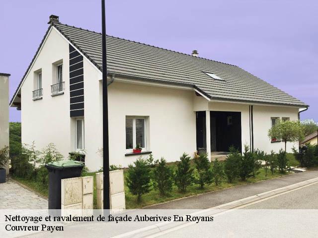 Nettoyage et ravalement de façade  auberives-en-royans-38680 Couvreur Payen