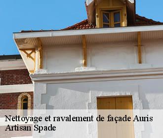 Nettoyage et ravalement de façade auris-38142 Artisan Spade