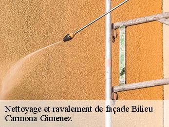 Nettoyage et ravalement de façade