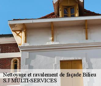 Nettoyage et ravalement de façade  bilieu-38850 S.J MULTI-SERVICES