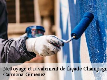 Nettoyage et ravalement de façade 38800