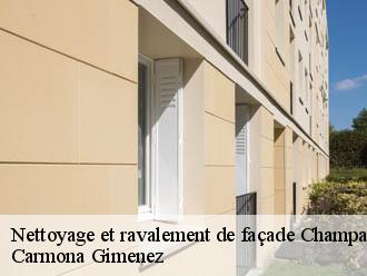 Nettoyage et ravalement de façade champagnier-38800 Couvreur Payen