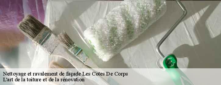 Nettoyage et ravalement de façade  38970