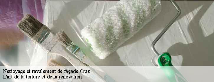 Nettoyage et ravalement de façade  38210